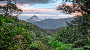 Costa Rica Vulkan Arenal mit Dschungel